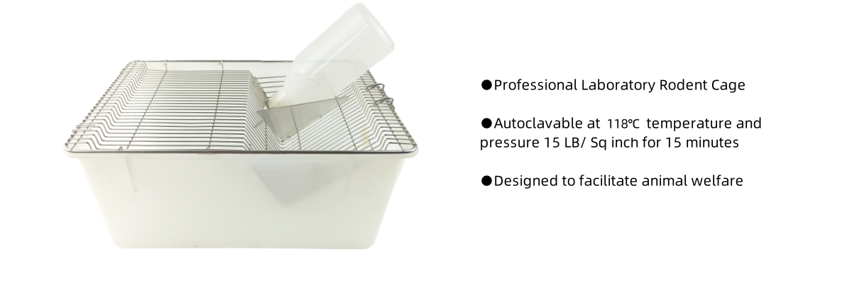 mice cage_common.png mice cage_common.png