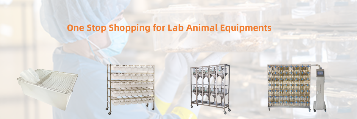 One stop shopping for Lab animal equipments.png One stop shopping for Lab animal equipments.png
