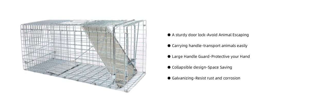 animal cage3.jpg