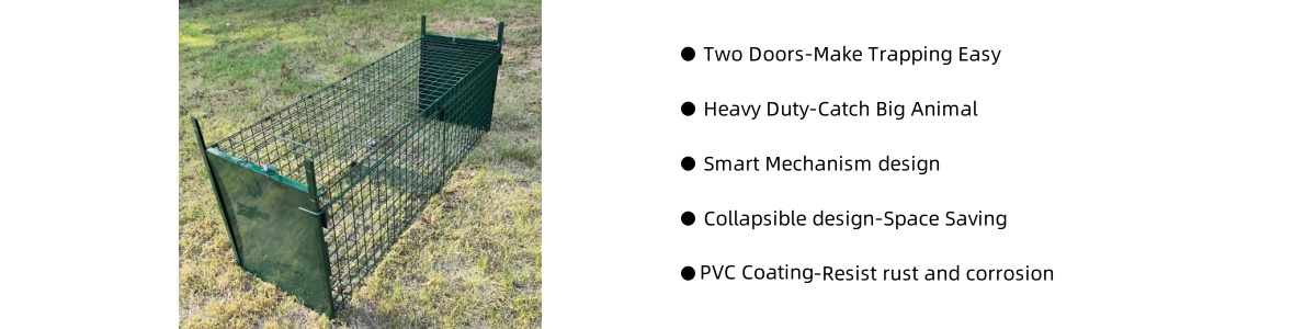 2 door green trap.jpg 2 door green trap.jpg