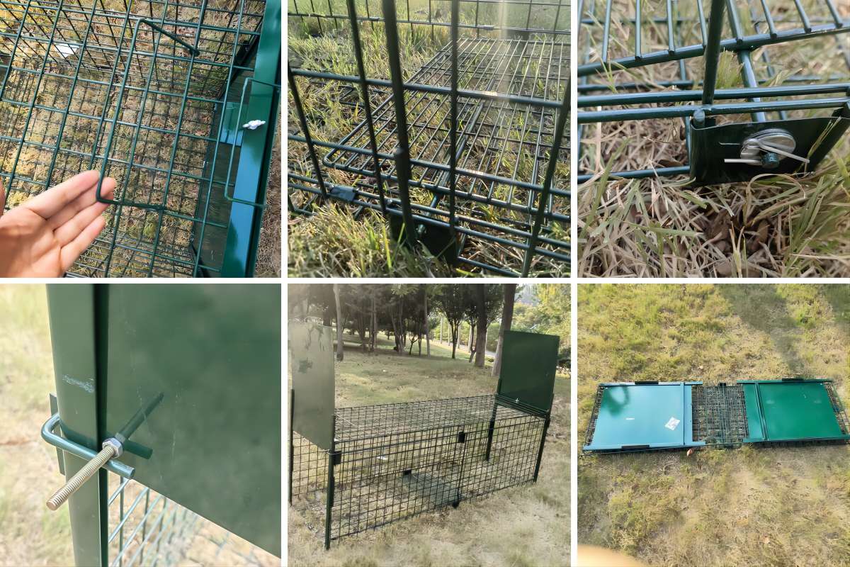 green trap details(1).jpg green trap details(1).jpg