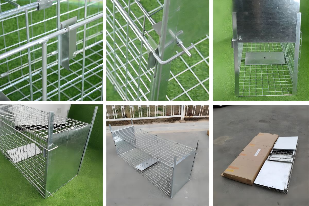 silver trap details(1).jpg silver trap details(1).jpg