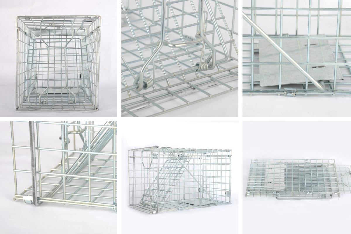 36 trap cage details.jpg 36 trap cage details.jpg