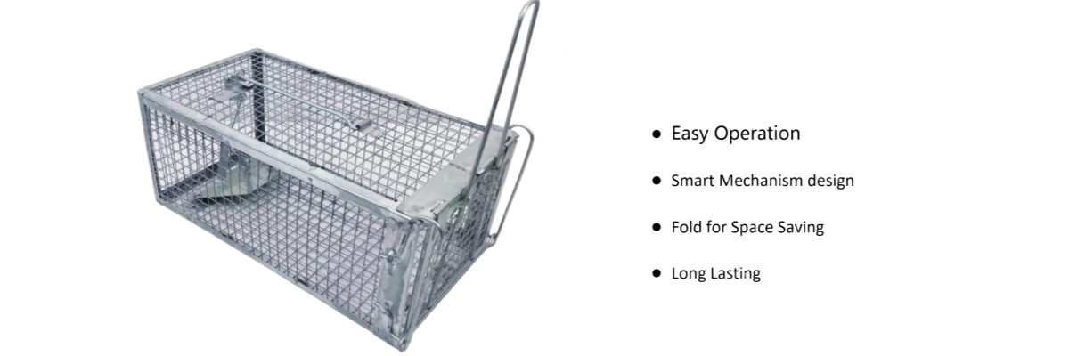 page-0_副本.png page-0_副本.png