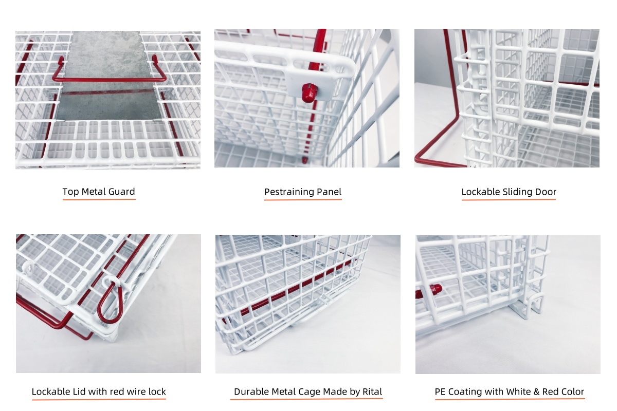 cat crush cage 2.jpg