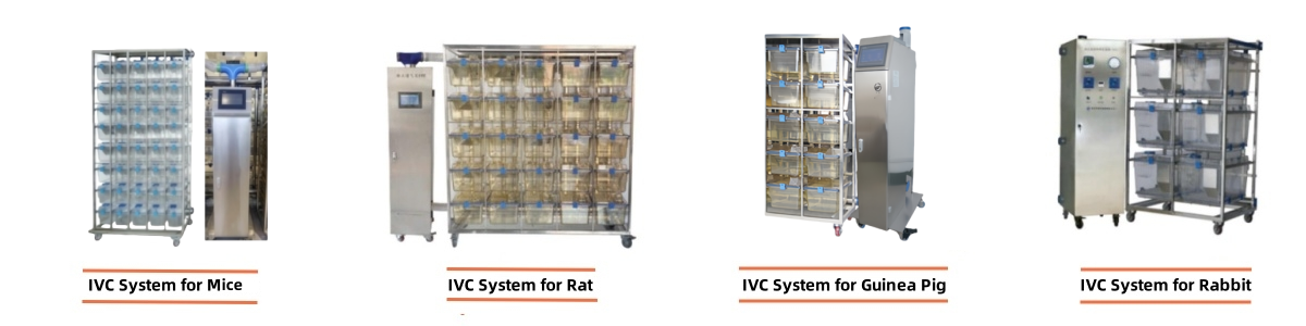 17114406654386640.png 17114406654386640.png