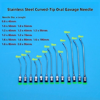 Stainless Steel Oral Gavage Needles