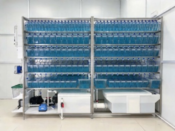 Zebrafish Housing System
