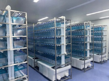 Zebrafish Housing System